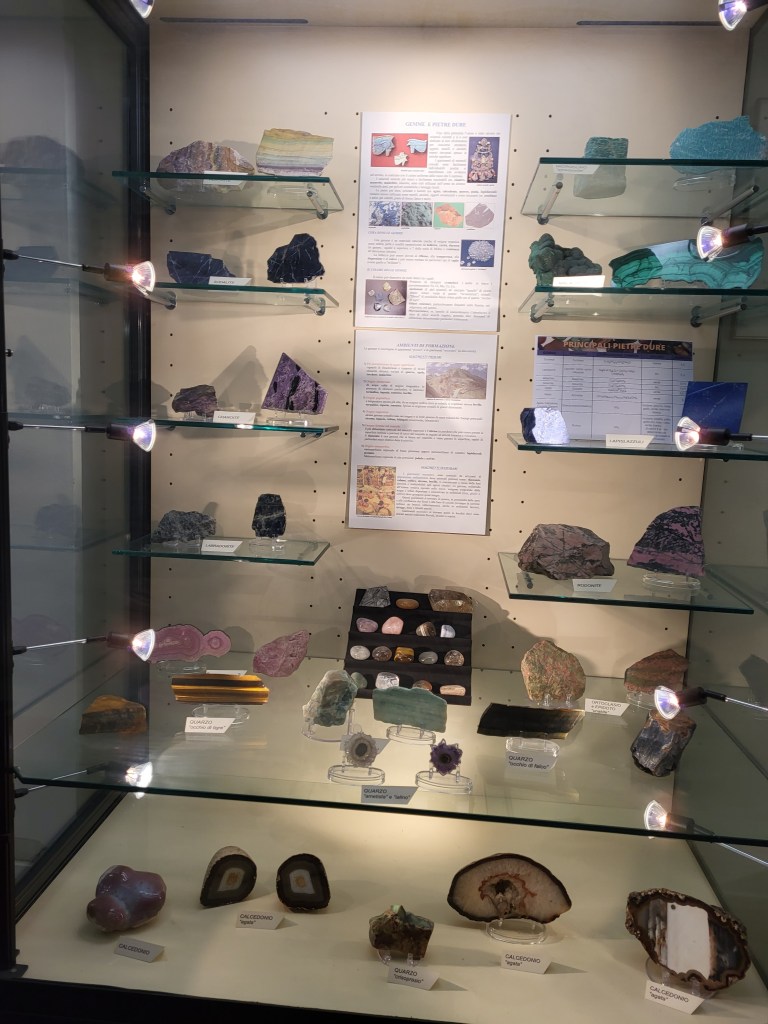 Visite guidate al Museo di Scienze della Terra dell’Università di Siena