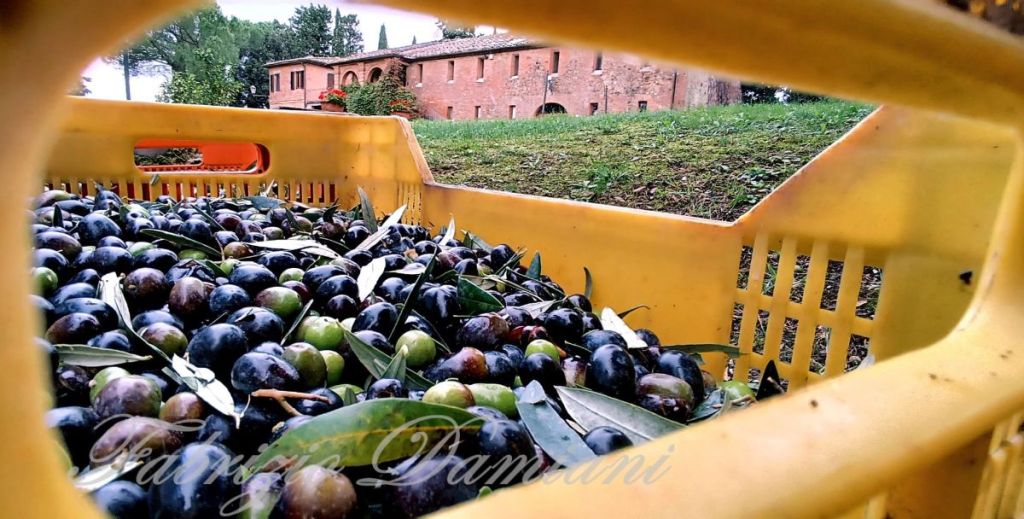 Illuminare la legalità colorando il buio
