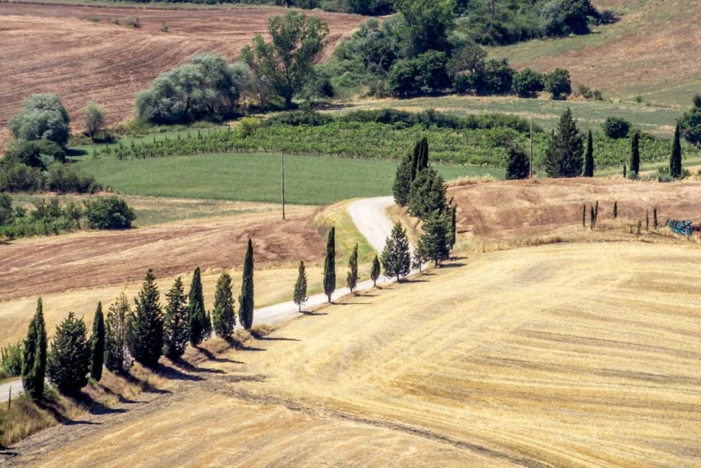 Siena Food Lab, al via il nuovo bando per la formazione qualificata e percorsi di innovazione rivolto alle imprese agricole senesi