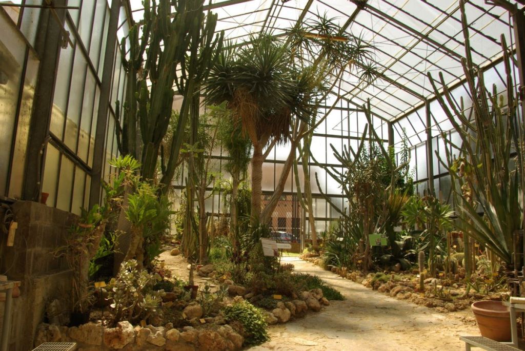 Jungle Siena: alla scoperta dell’anima verde della città