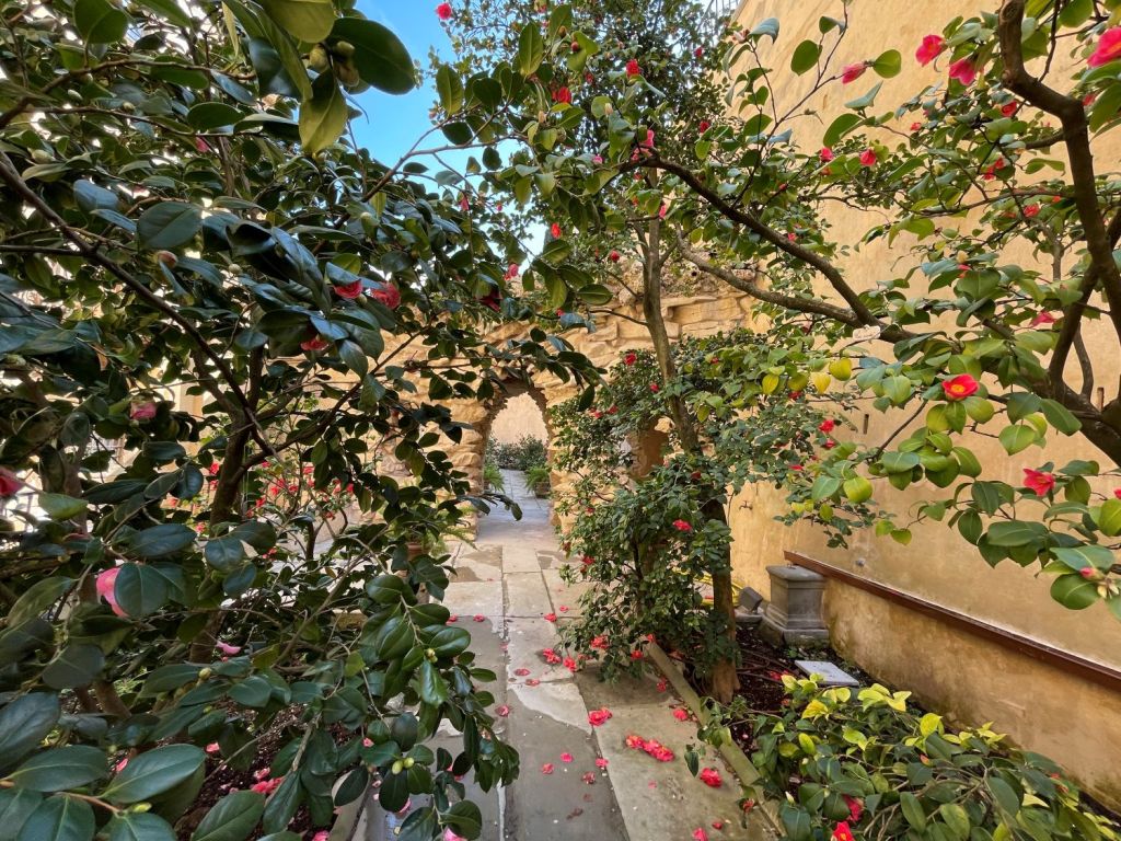 Boboli, apre il Giardino 'segreto' delle Camelie