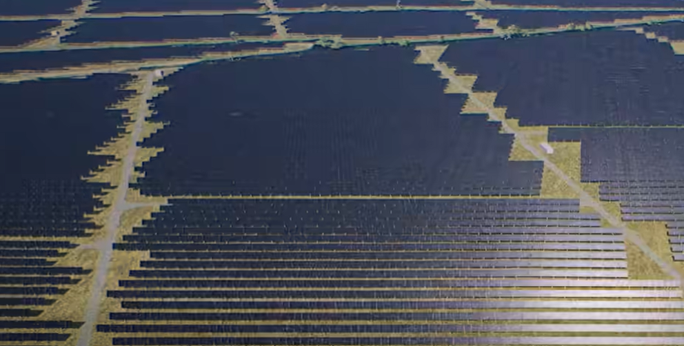 Agrivoltaico nella Piana di Rosia: Contea lancia un video-denuncia. A rischio 285 ettari di campagne 