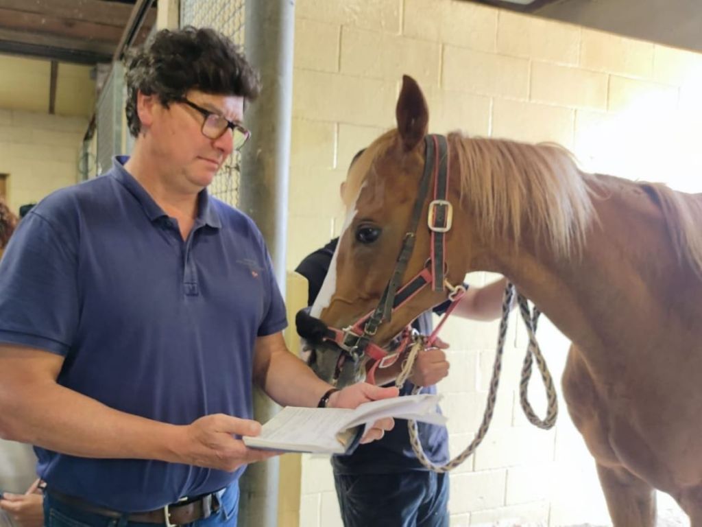 Siena, l’impegno dei veterinari dell’Asl Tse per il Palio di luglio