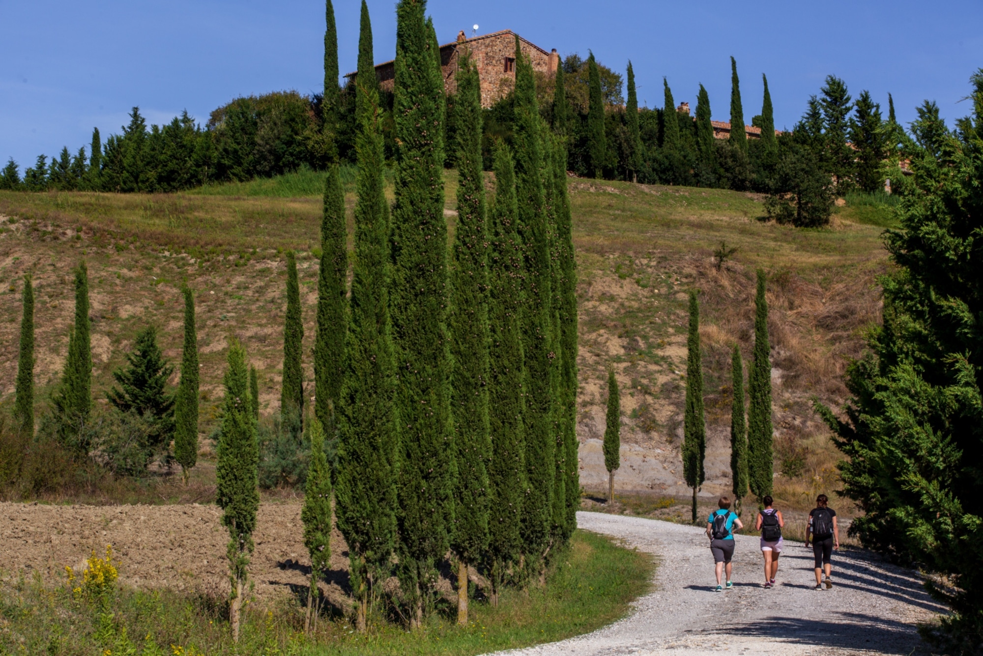 Via Romea Senese, tra Firenze e Siena, attraversando a piedi il Chianti