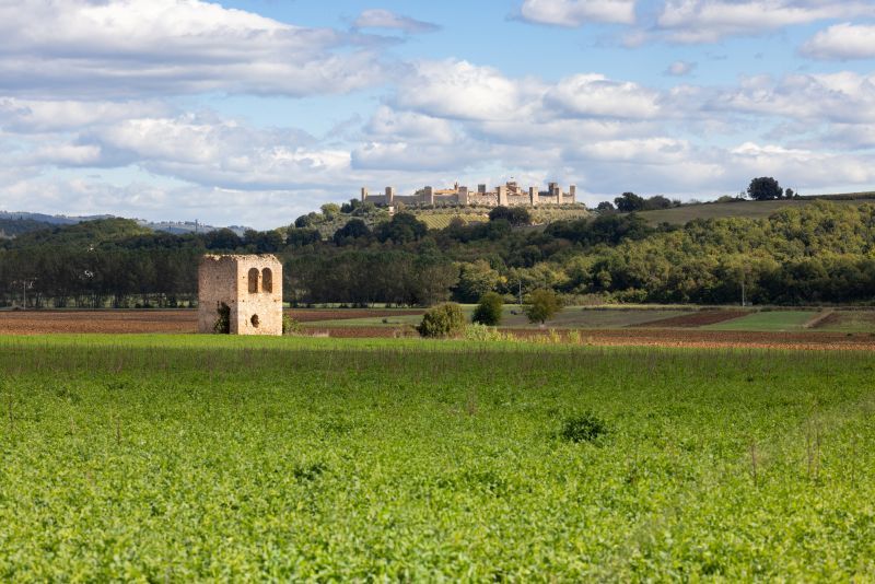 Diventa Facilitatore Digitale a Monteriggioni: bando Servizio Civile per giovani fino a 29 anni