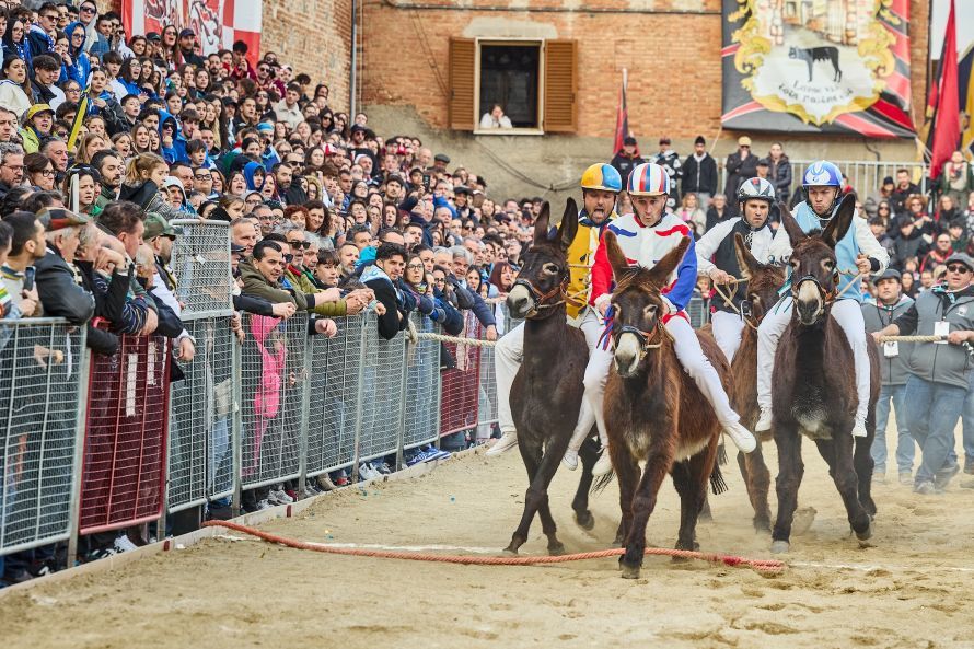 Palio dei Somari, Torrita celebra la storia: il 6 giugno il Palio Straordinario per i 60 anni della manifestazione