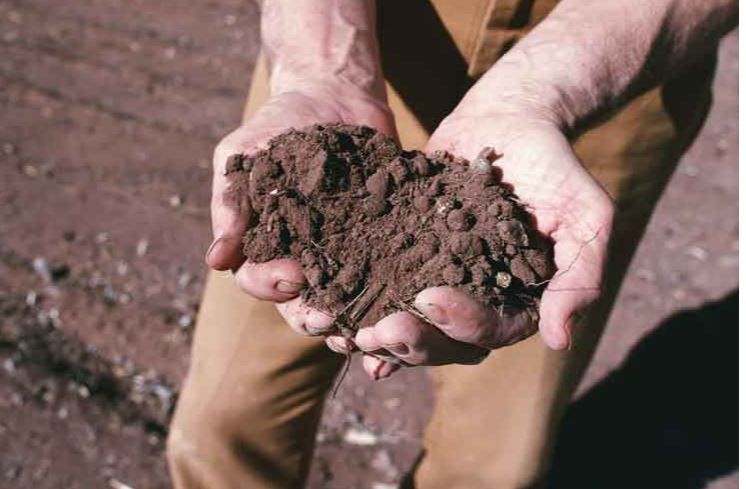 Giovani agricoltori, in apertura bando da oltre 28 milioni di euro