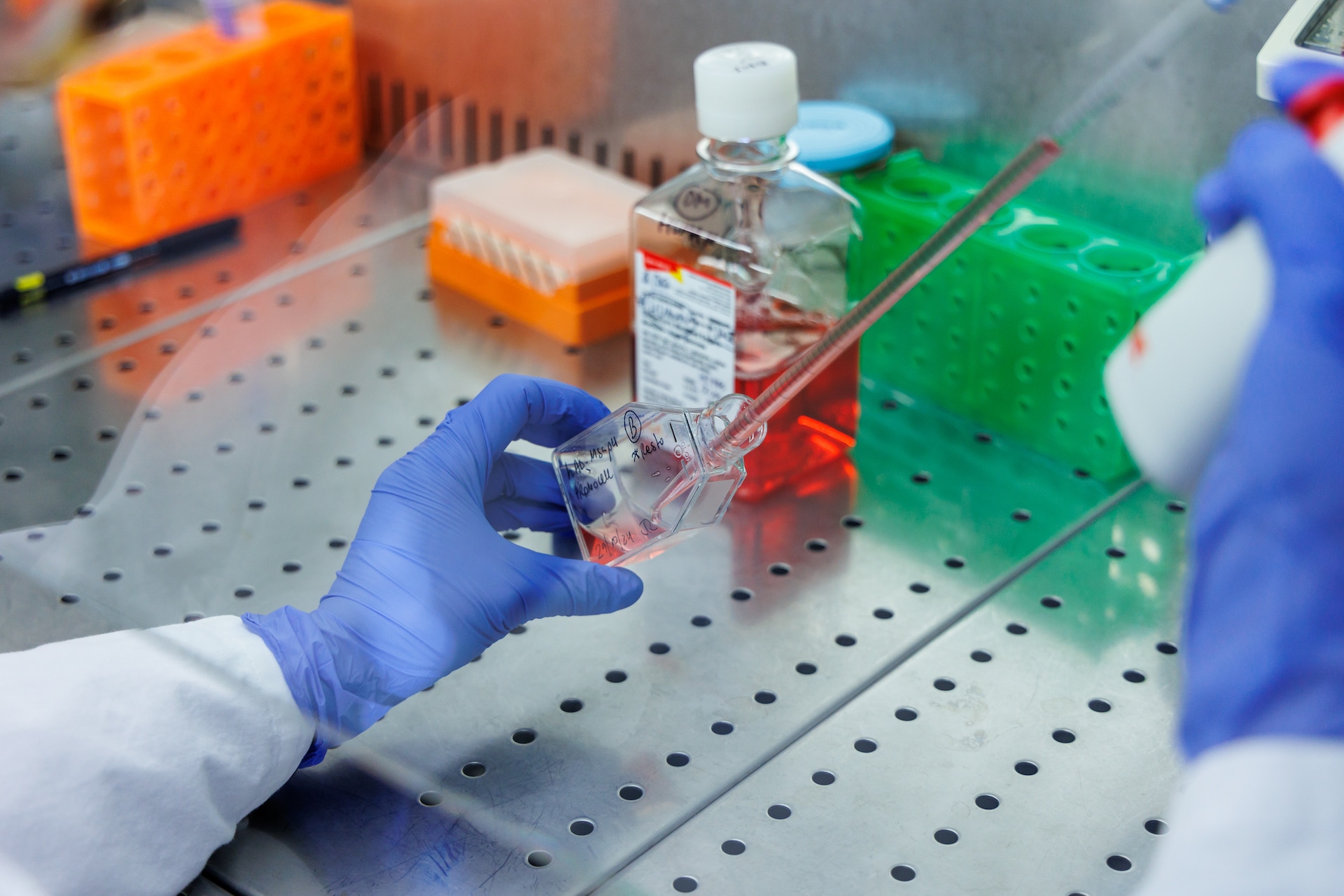 L’intestino parla al cervello: la scoperta dei ricercatori della Scuola Sant’Anna di Pisa