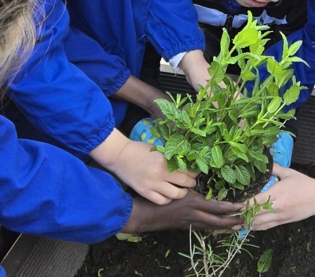 La 2C delle “Pieraccini” celebra la Nostra Casa Comune: Viaggio per la Giornata della Terra