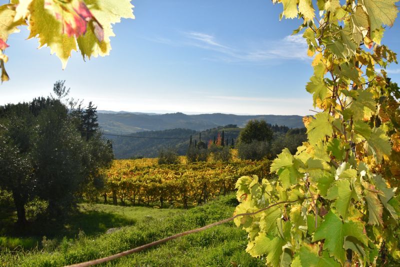 Ciak si gira! Le colline del Chianti diventano un set per il nuovo film di Maurizio Baldini “Lola Bum”