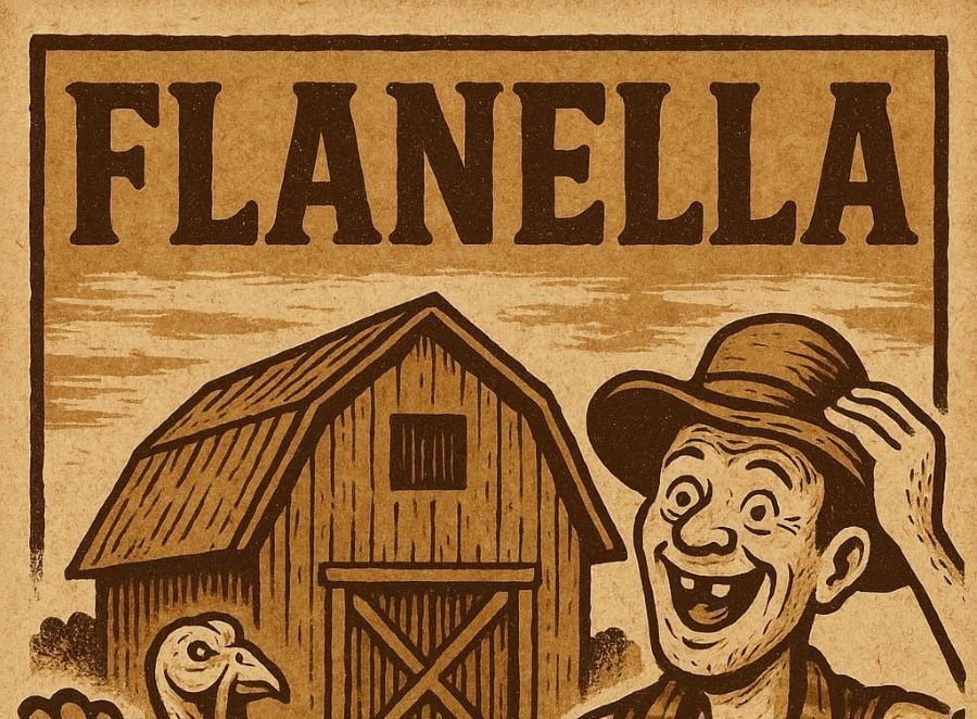 Empoli, Musica nelle frazioni chiude a ritmo country con i Flanella for Folks
