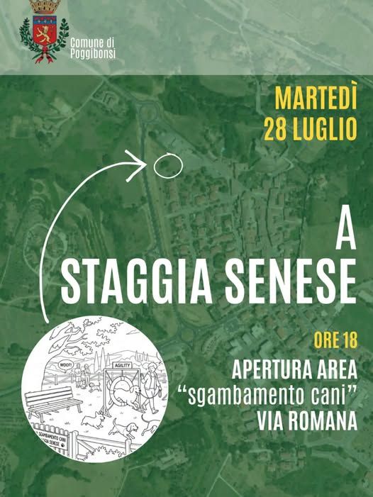 Verde pubblico e Agility Dog: Marted&igrave; 28 luglio s'inaugura la nuova area cani a Staggia Senese