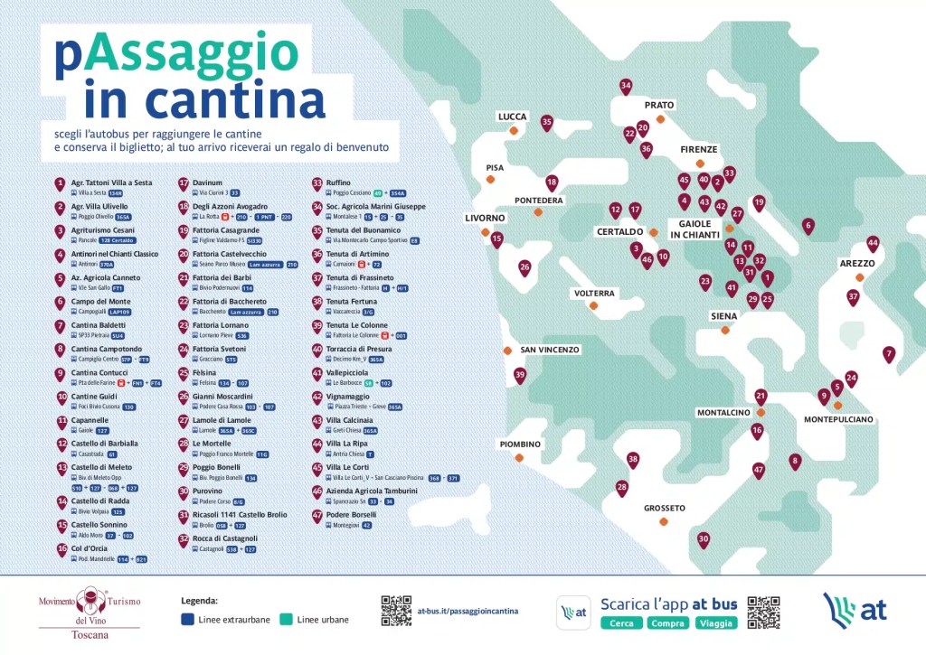 Un (p)assaggio in cantina, in bus alla scoperta delle vigne toscane