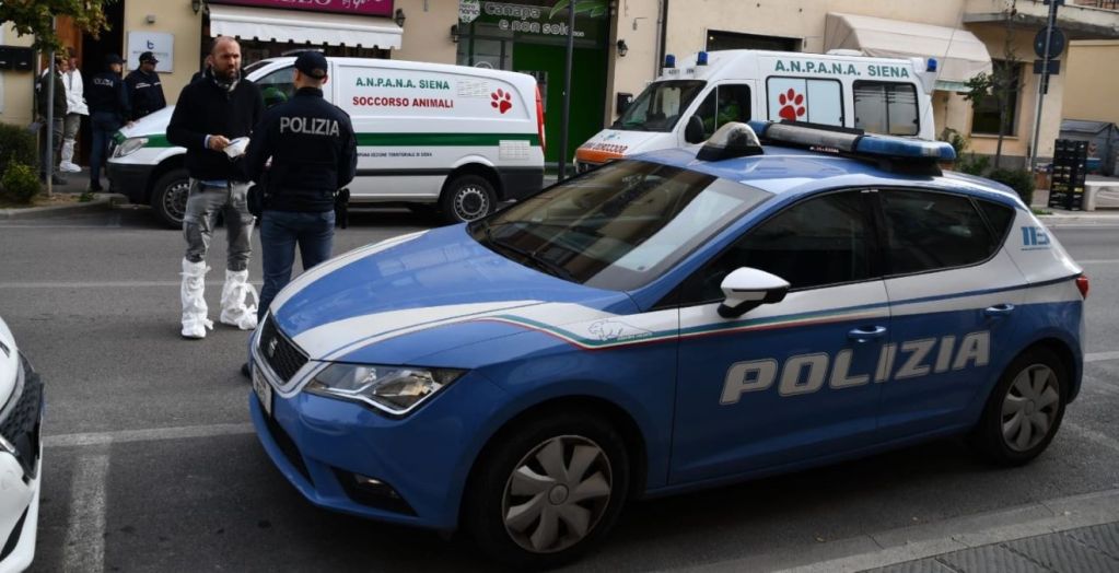 In casa con 51 animali: denunciato poggibonsese