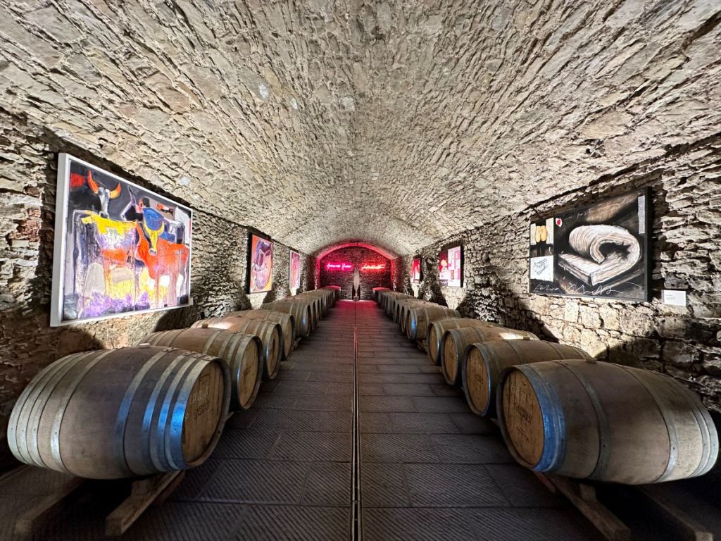 Dialoghi Paralleli: al Castello di Albola l'arte si fa vino
