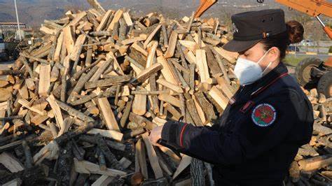 Oltre 16mila euro di multe per il taglio del bosco