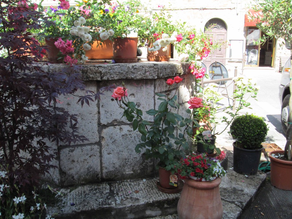 Casole fiorita compie 10 anni