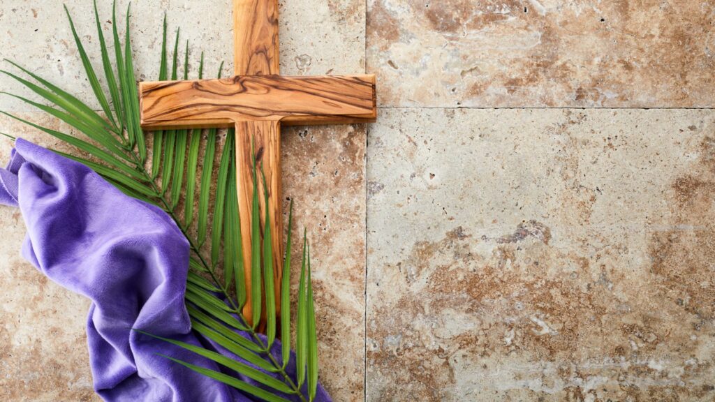 Oggi è la domenica delle palme, ma cosa c’entra l’ulivo?