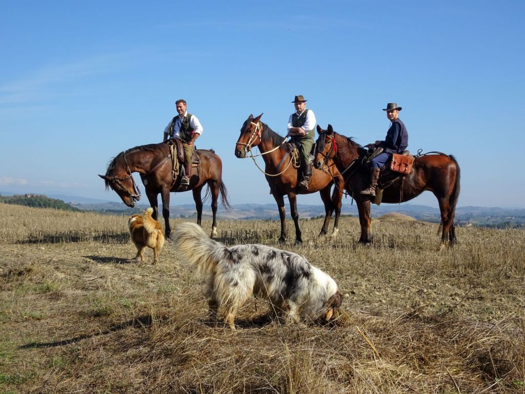 La via Francigena in Valdelsa, tra sogno e leggenda