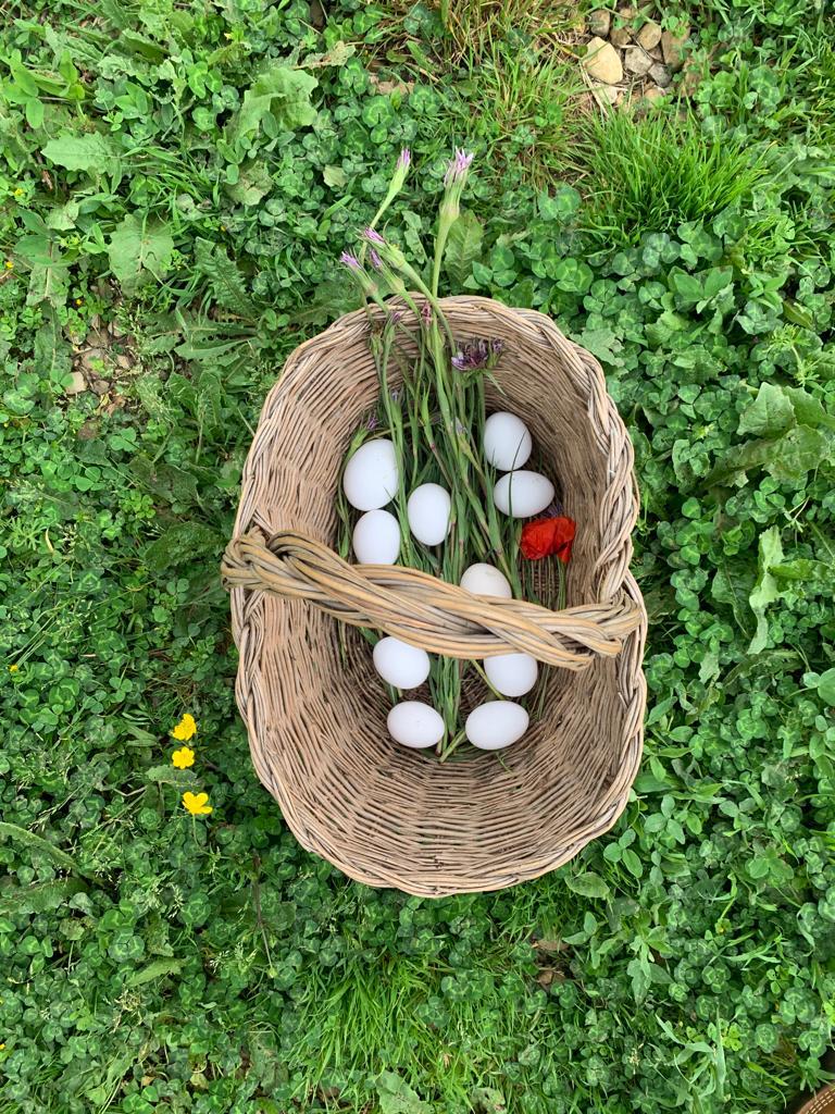 Estate Fiorentina, nasce Easy Living, in Fattoria da giugno a settembre a Porta Romana