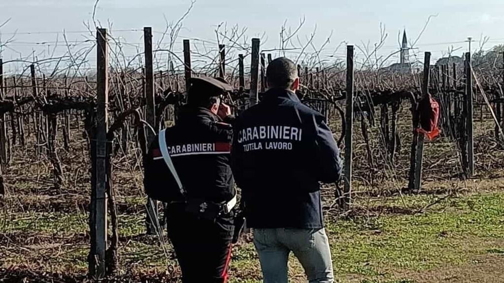 Caporalato, 18 lavoratori sfruttati nei vigneti senesi: un arresto. Flai Cgil: “Sul contrasto serve un’accelerazione concreta”.