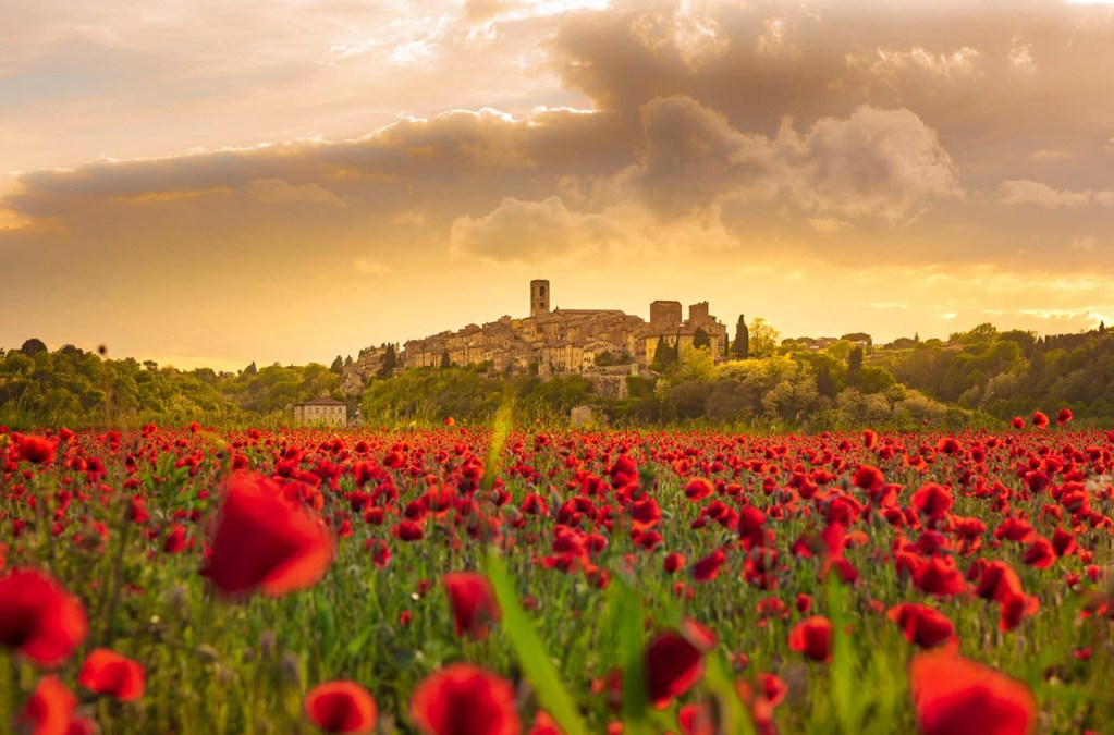 Un trekking per inaugurare l'anello della Francigena colligiana