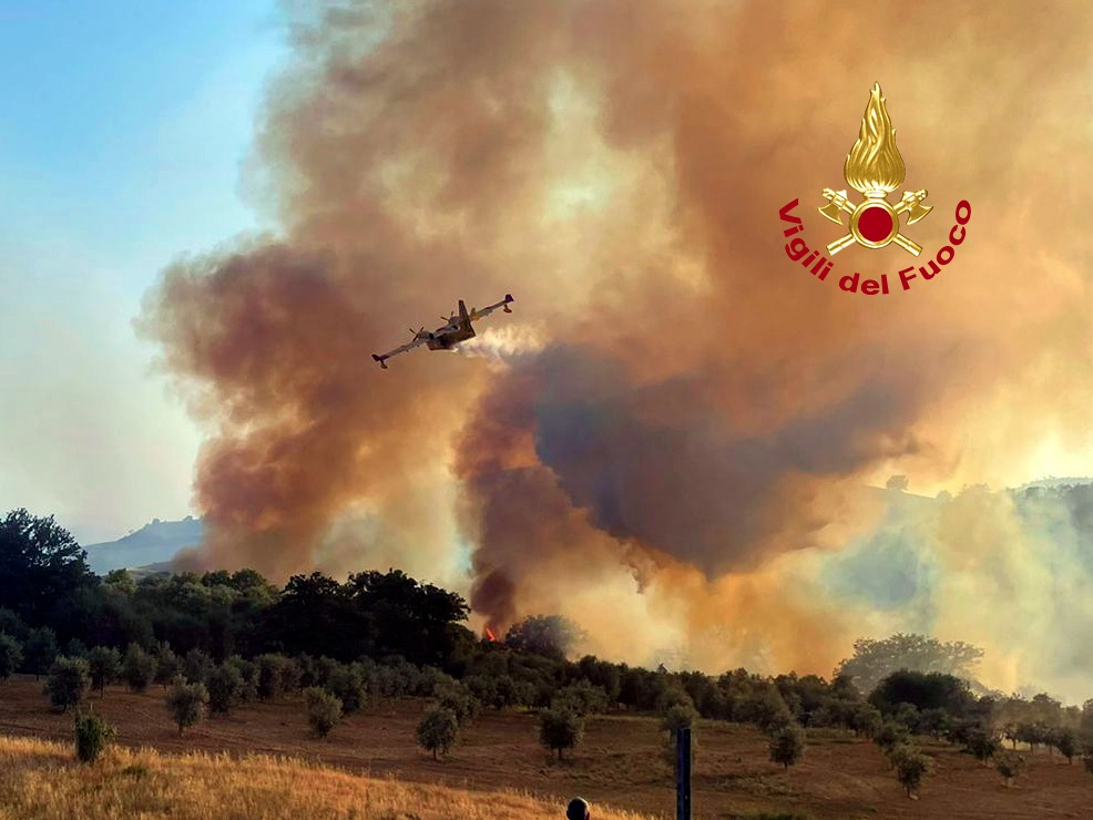 Spaventoso incendio mette a rischio un distributore di benzina, agriturismi e allevamenti di bestiame nel grossetano