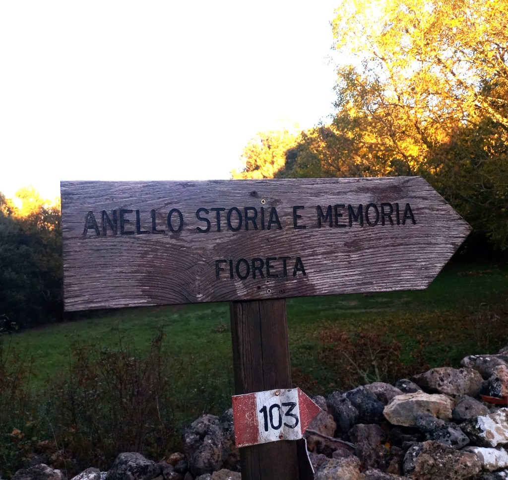 Cristallo e Memoria Storica, le deleghe speciali di Riccardo Vannetti
