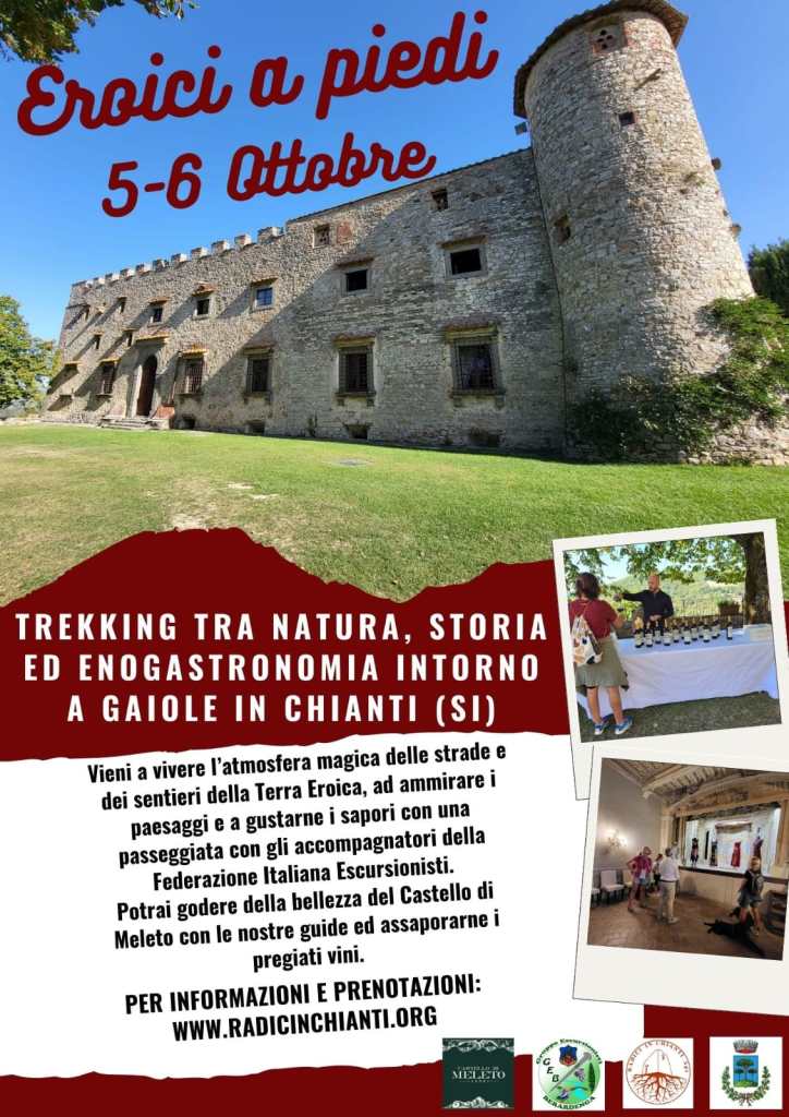 Escursioni enogastronomiche nel cuore del Chianti