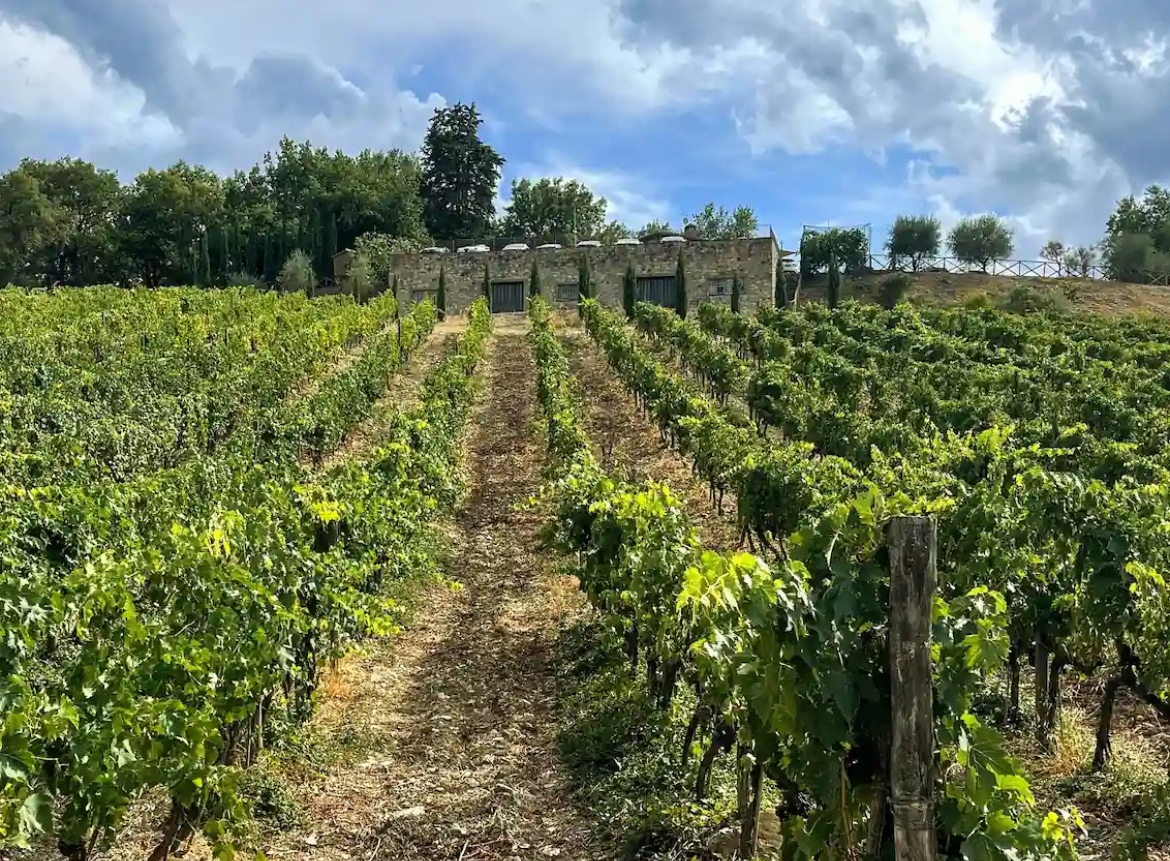 Dagli USA a Greve per studiare l’agricoltura sostenibile: in Toscana arriva la School for Field Studies