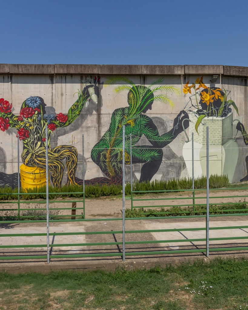 Empoli, radici e colori animano il muro della REMS