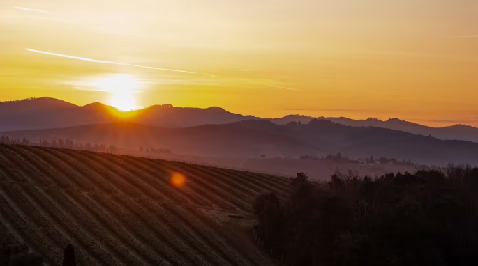 Scopri il Chianti in movimento: sport, natura e gusto sotto le stelle