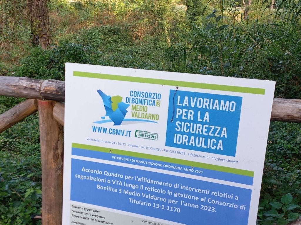 Sistemazione degli alberi lungo lo Staggia e i Carfini