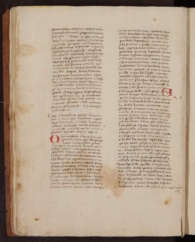 Mostra di manoscritti, libri alla Biblioteca Nazionale Centrale di Firenze