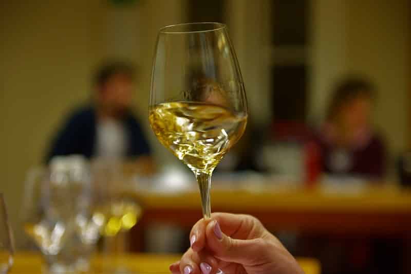 Un master universitario per diventare ambasciatori del vino: aperte le iscrizioni