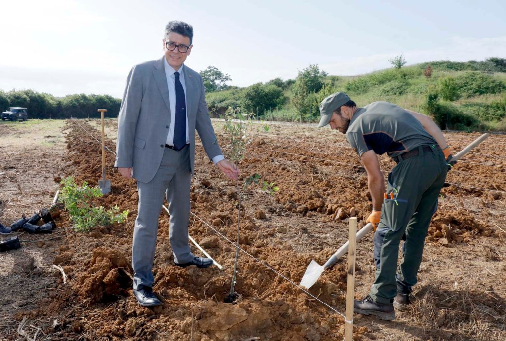 Prende il via la piantumazione del “Lecceto di Unisi”