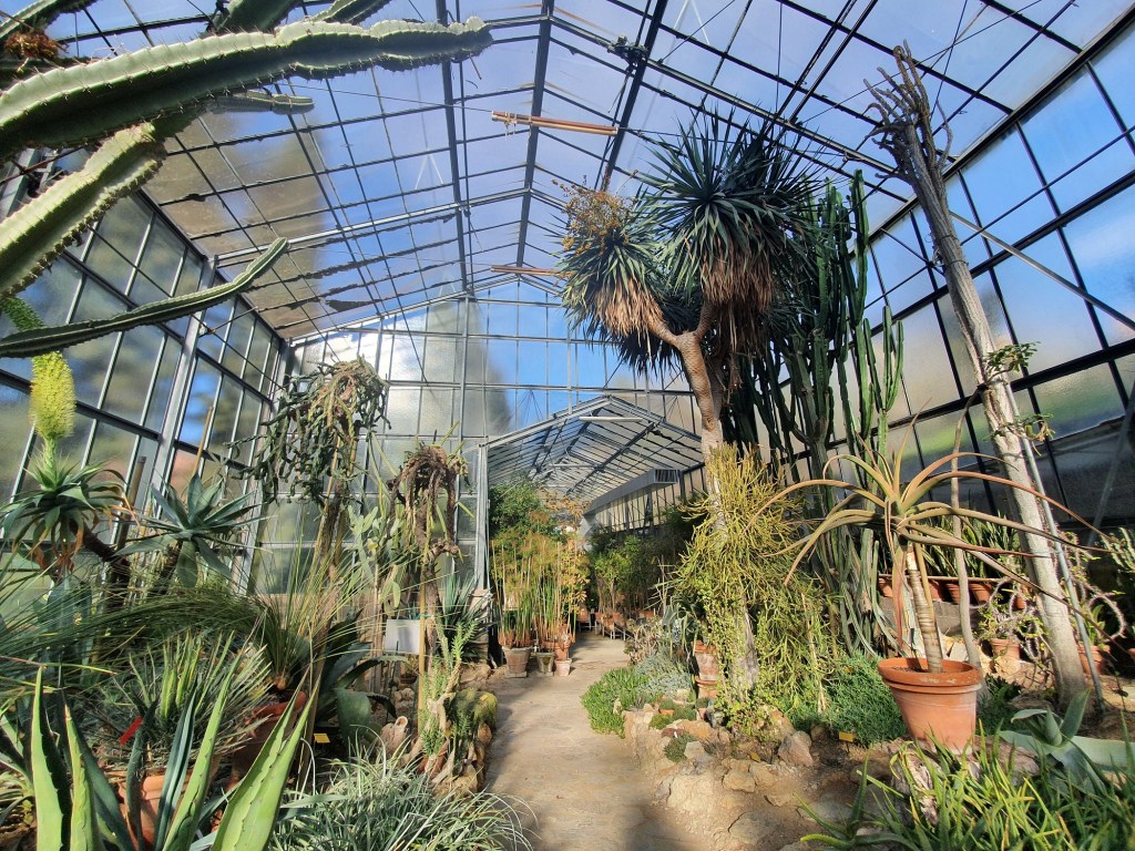Orto Botanico, letture poetiche all’imbrunire, tra poesia e natura