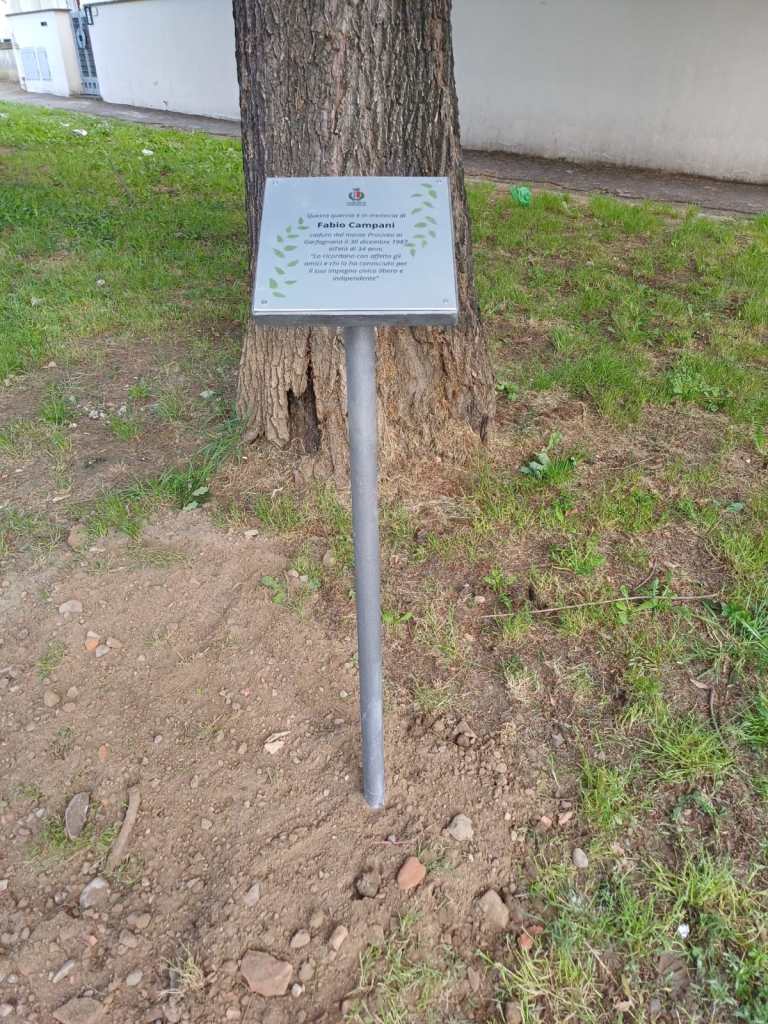 Certaldo, installata la targa commemorativa alla quercia in memoria di Fabio Campani