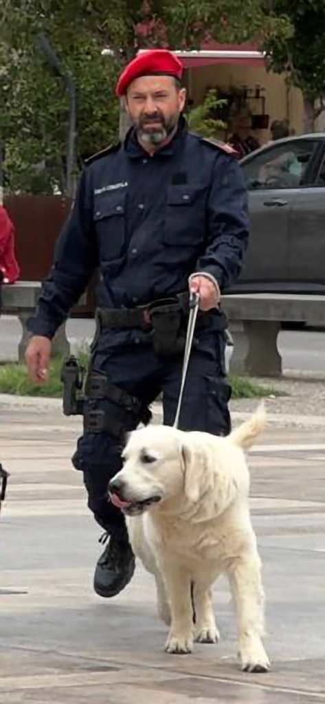 Certaldo, il fiuto di Willy fa ritrovare 100 grammi di hashish destinati allo spaccio