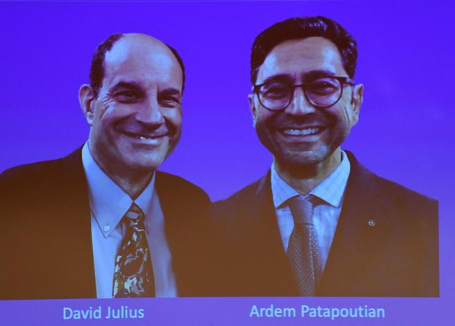 Premio Nobel per la medicina a David Julius e Ardem Patapoutian