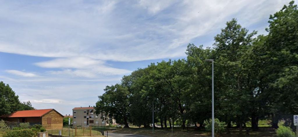 Manutenzione straordinaria di alberi e verde pubblico all’Agrestone