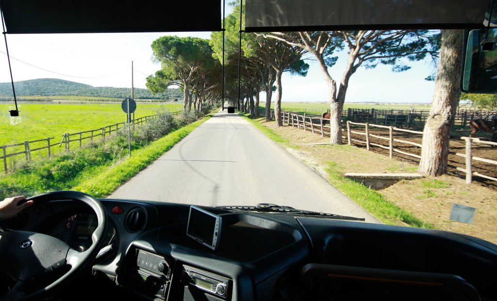 Estate 2024: 10mila passeggeri hanno scelto il servizio navette bus di Tiemme verso Marina di Alberese