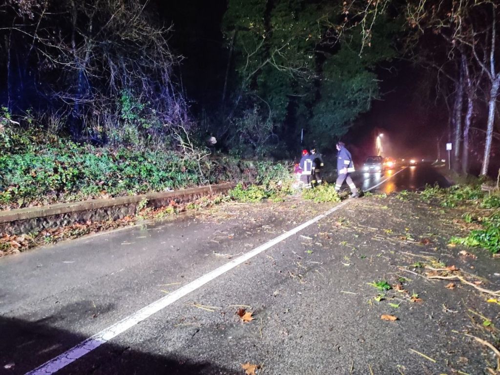 Albero sulla ss68, traffico bloccato