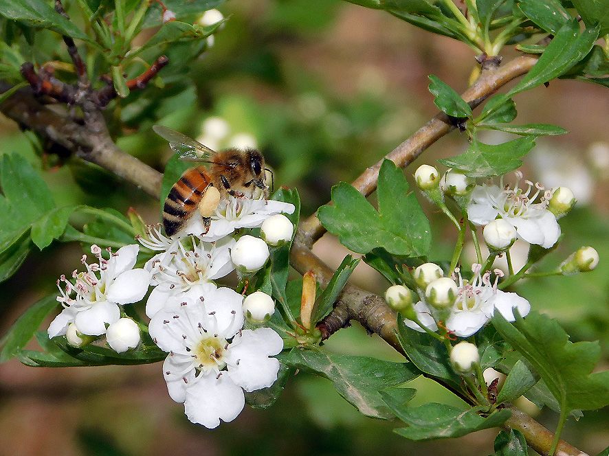 La primavera &egrave; nell&rsquo;aria ad Arnovecchio: prima visita a tema della nuova stagione
