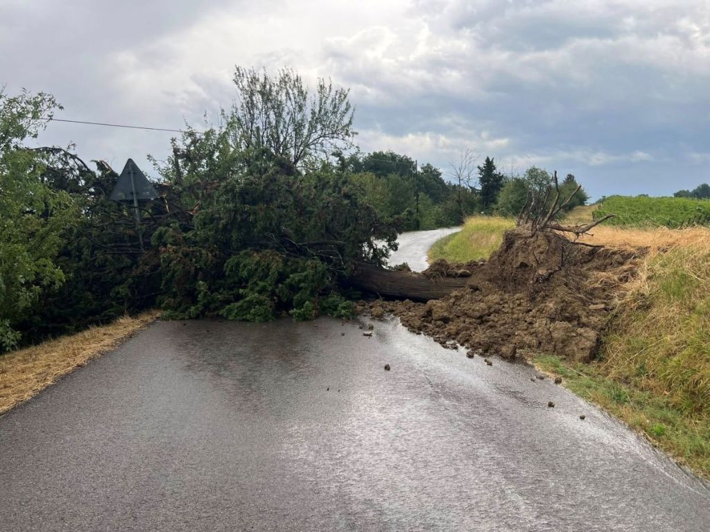 Allagamenti e strade chiuse: difficoltà nel Comune di Barberino Tavarnelle
