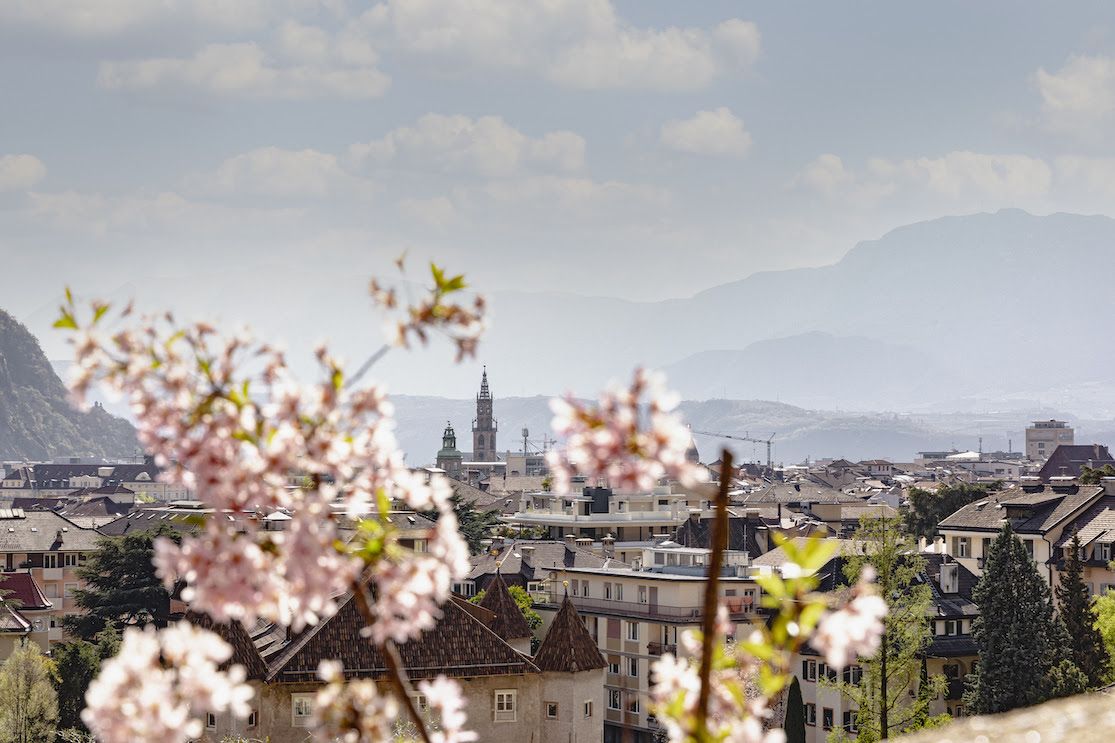 Primavera a Bolzano con vino e fiori