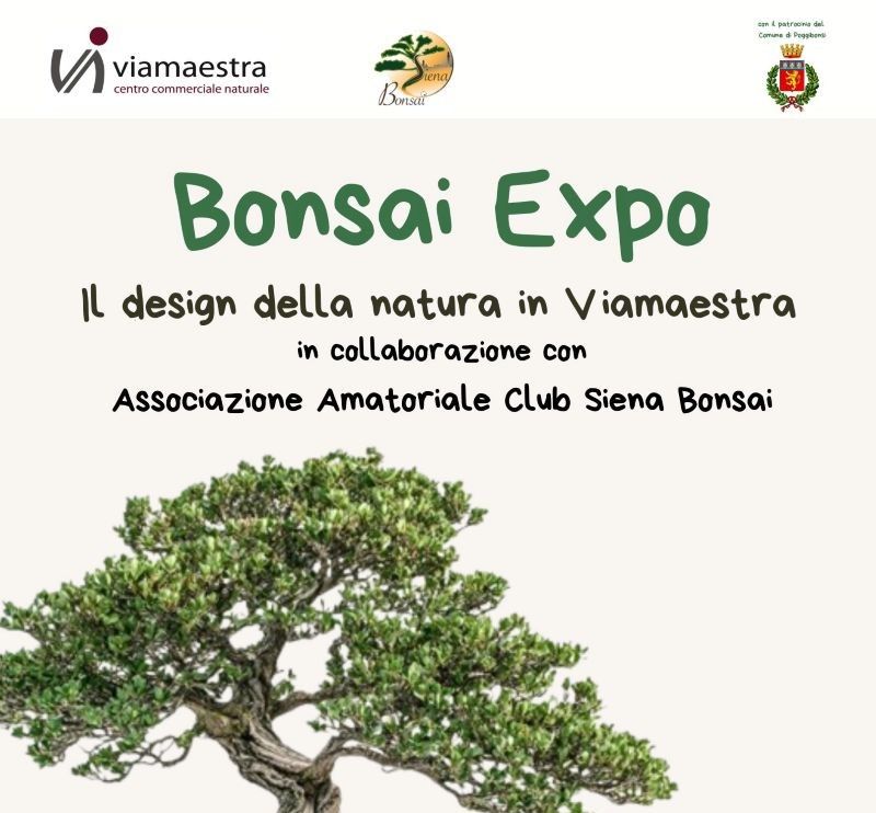 L'arte millenaria del Bonsai conquista Poggibonsi: al via la prima "Bonsai Expo" 