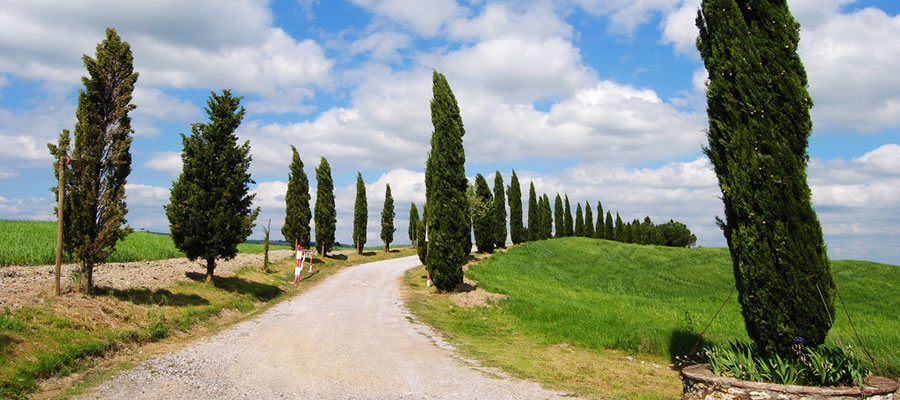 Provincia di Siena, ai vertici per qualità di vita