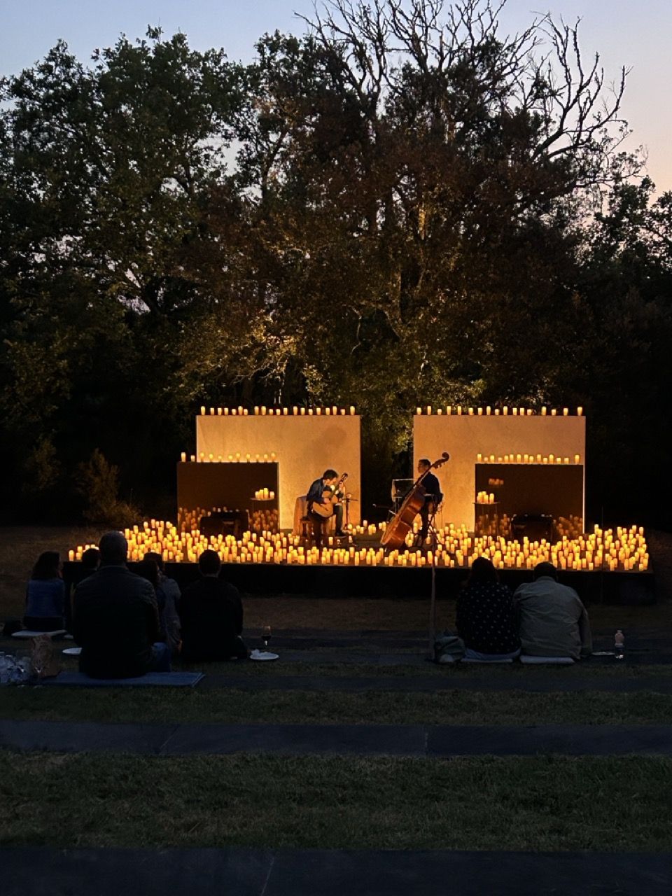 &ldquo;A Trip to the Moon&rdquo;: musica, arte, vino e osservazione del cielo  per un evento speciale al Parco Sculture del Chianti