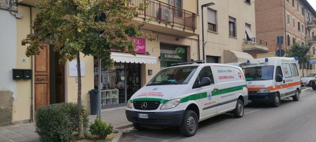Teneva almeno 18 cani dentro un appartamento